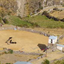 Preparation bullfights in Puyca